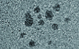 ナノ粒子電子顕微鏡写真（最小1nm）